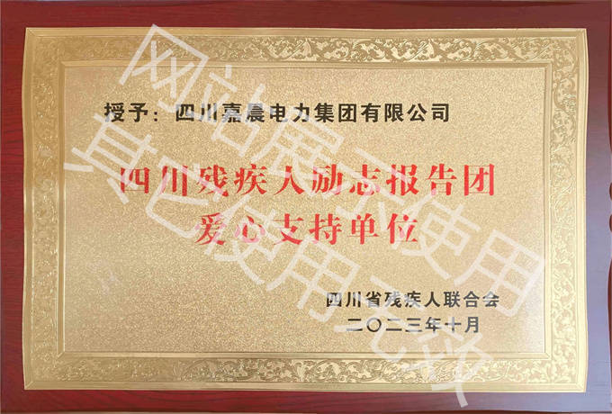 四川残疾人联合会证书