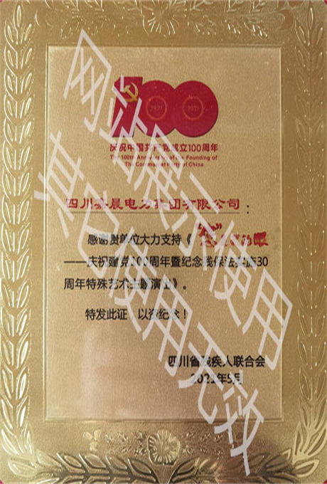 四川省残疾人联合会证书